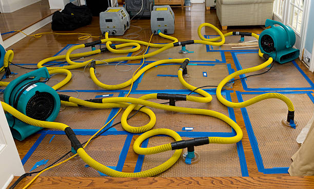 Professional Sewage Cleanup technician working in Teaneck, NJ